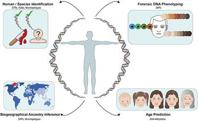 Editorial: Current and Emerging Trends in Human Identification and Molecular Anthropology